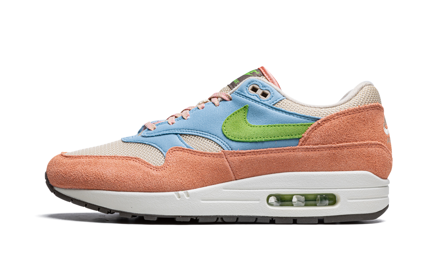 Air Max 1 "Light Madder Root"