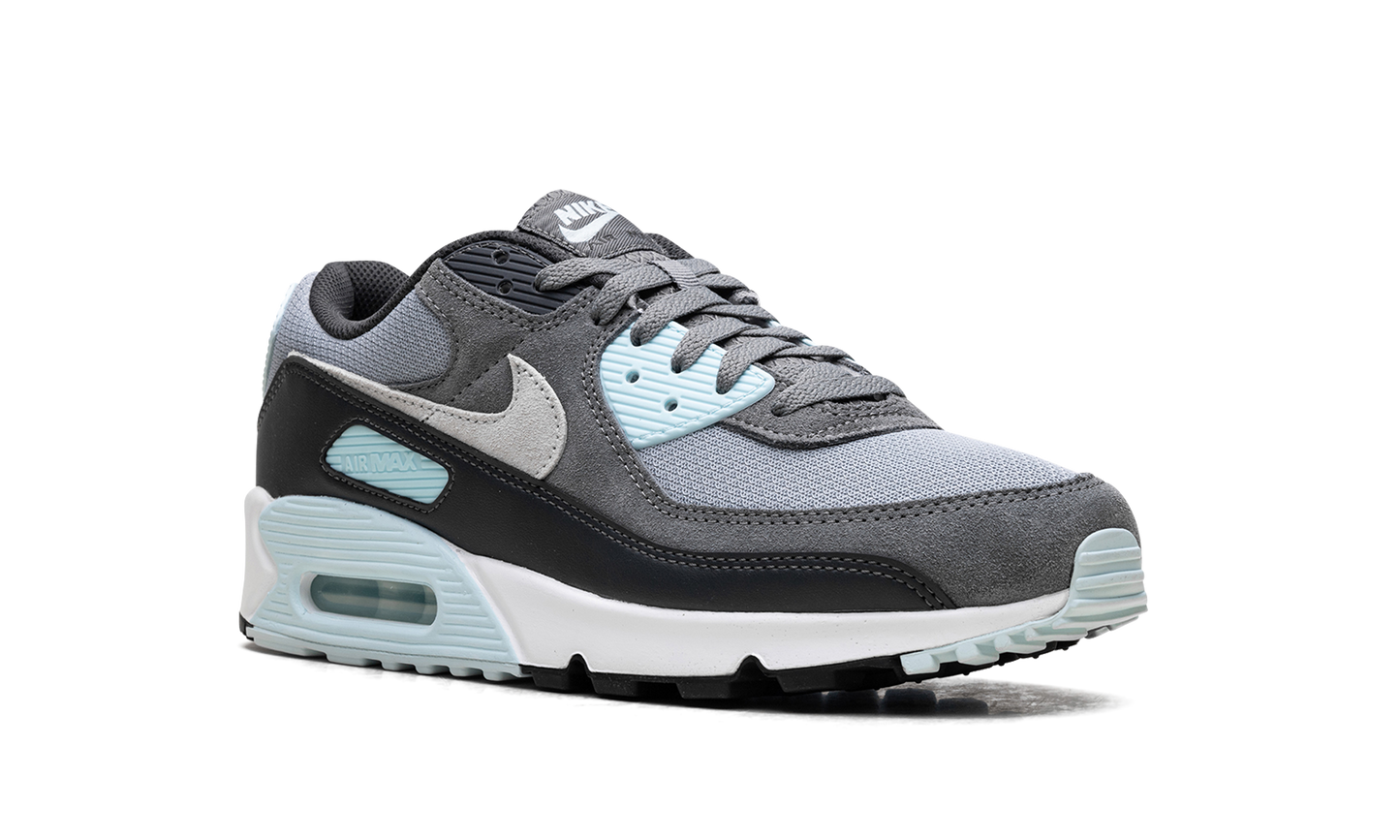Air Max 90 "Pumice"