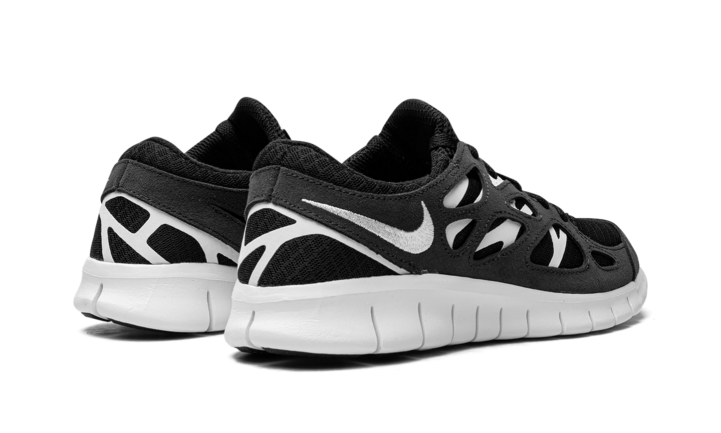 FREE RUN 2 WMNS