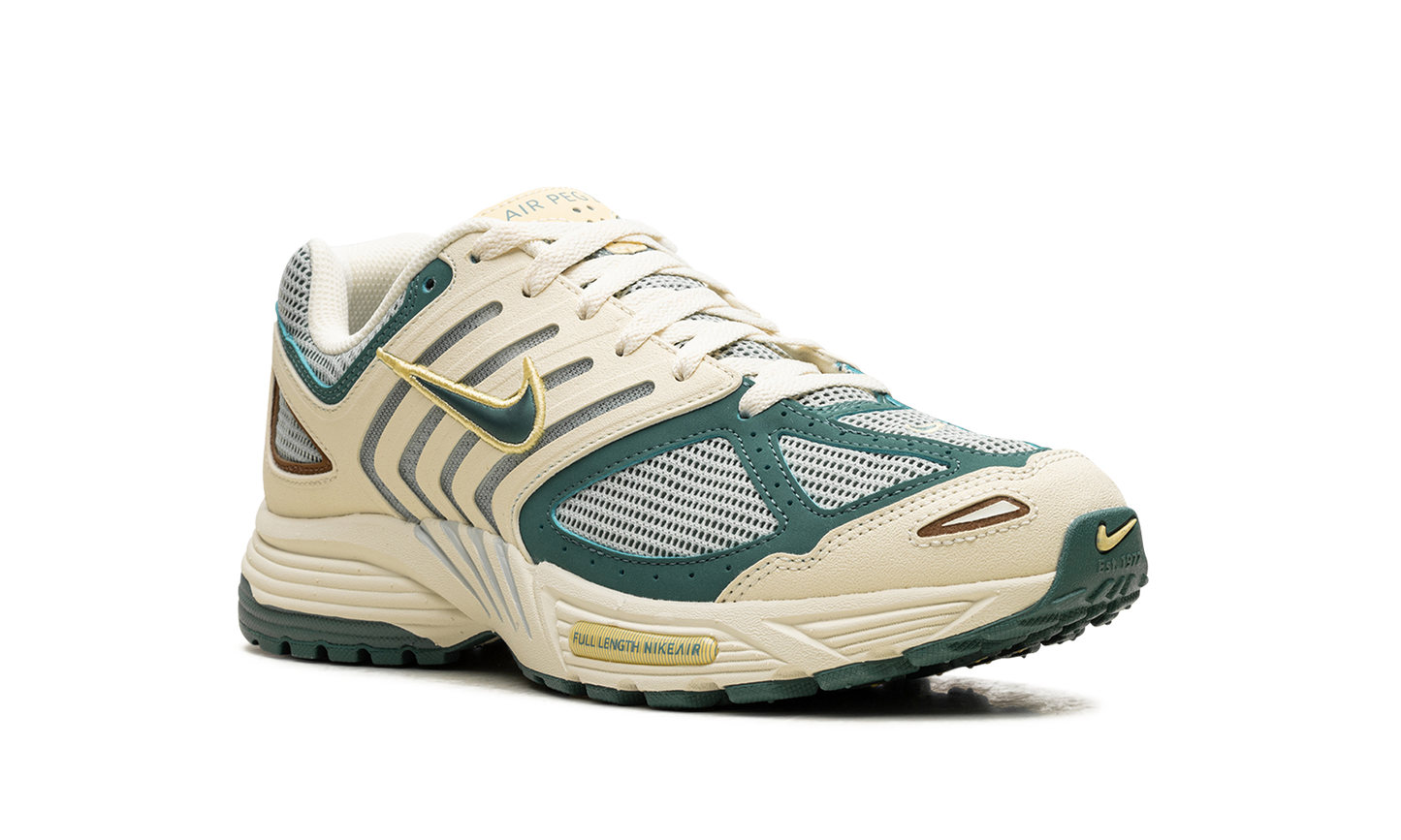 Air Pegasus 2K5 "Bicoastal"