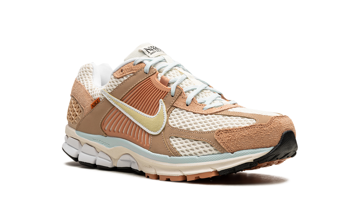 Zoom Vomero 5 "Have a Nike Day"