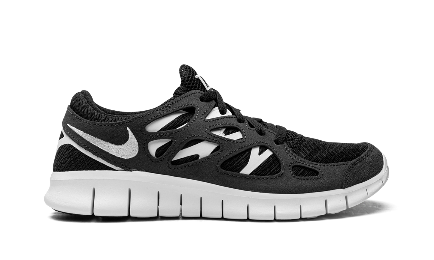 FREE RUN 2 WMNS