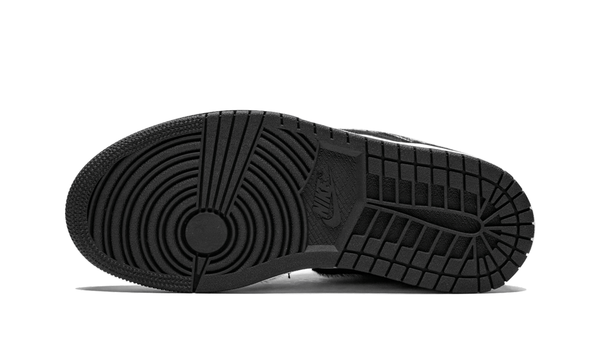 AIR JORDAN 1 RETRO HIGH OG WMNS "Twist"