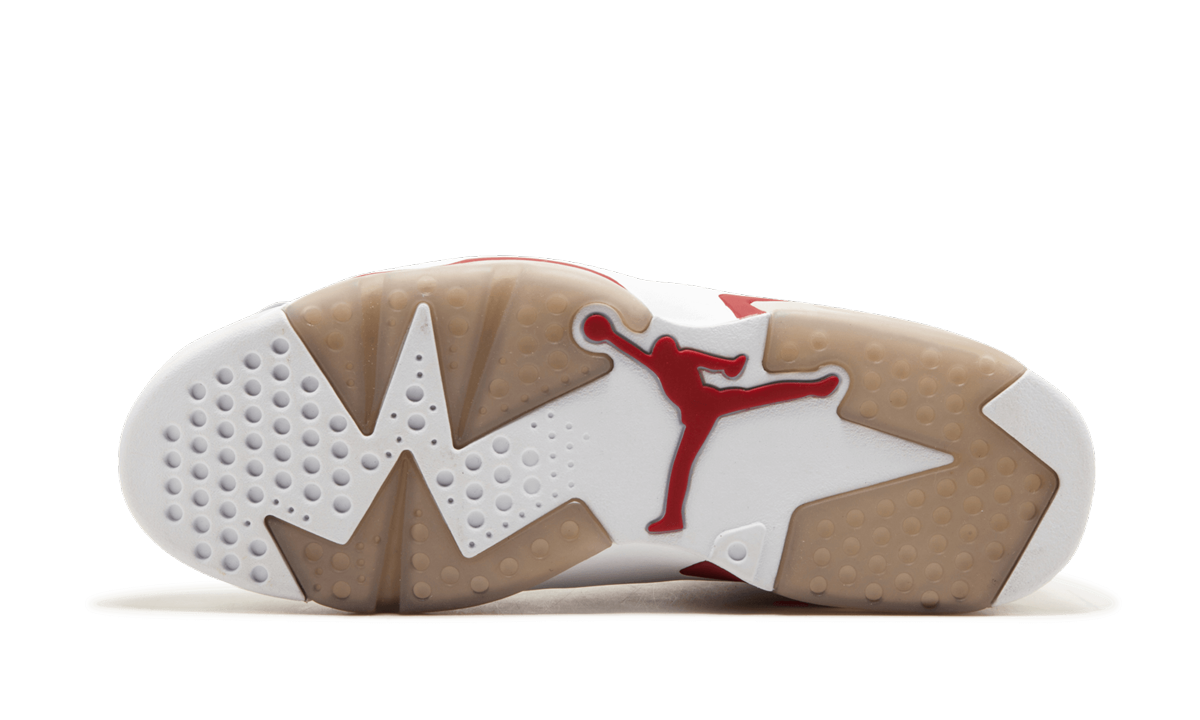 Air Jordan 6 Retro "Alternate"