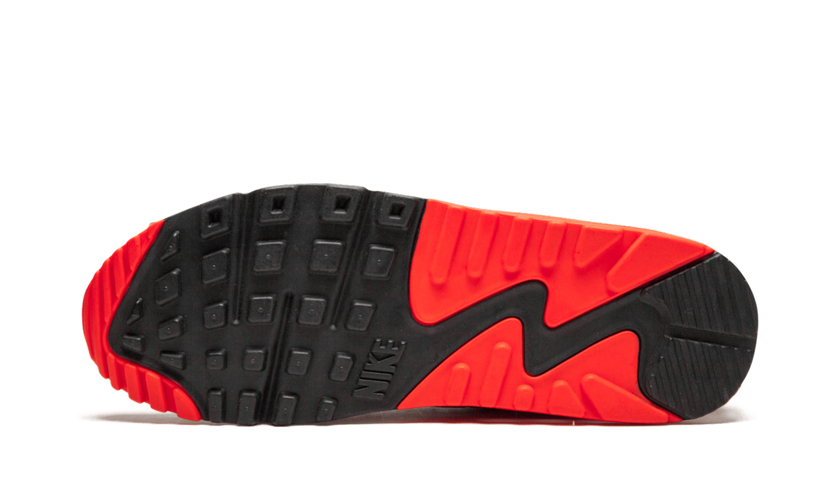 AIR MAX 90 ANNIVERSARY WMNS "Cork"