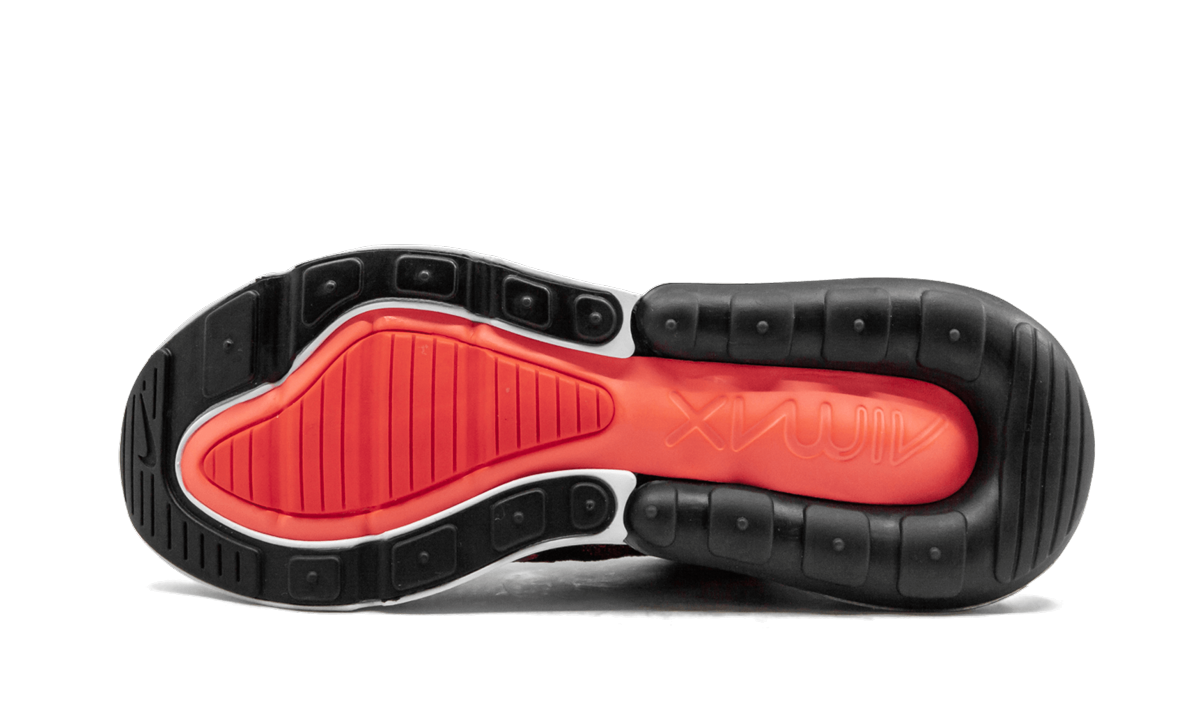 AIR MAX 270 FLYKNIT WMNS