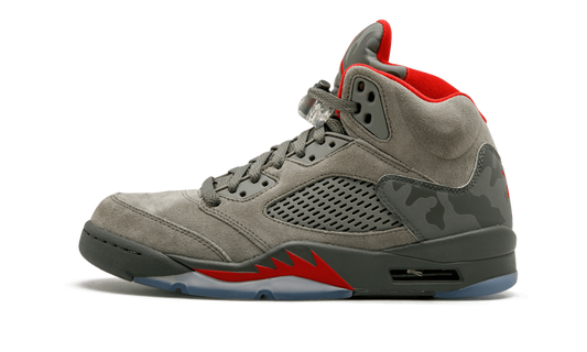 Air Jordan 5 Retro "Camo"