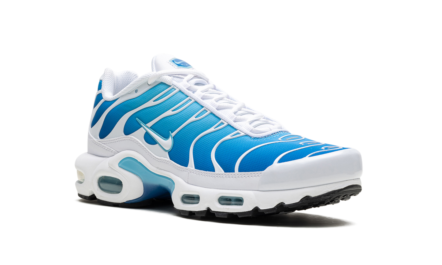 Air Max Plus "Blue Gaze"