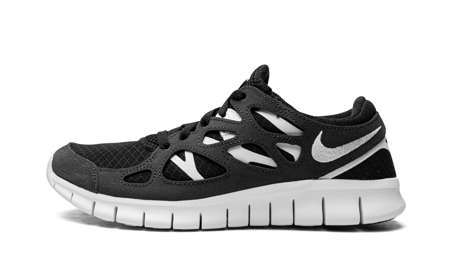 FREE RUN 2 WMNS