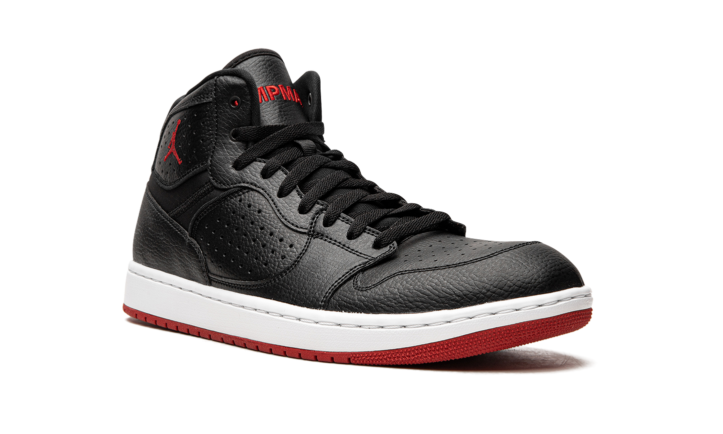 Jordan Access "Bred"