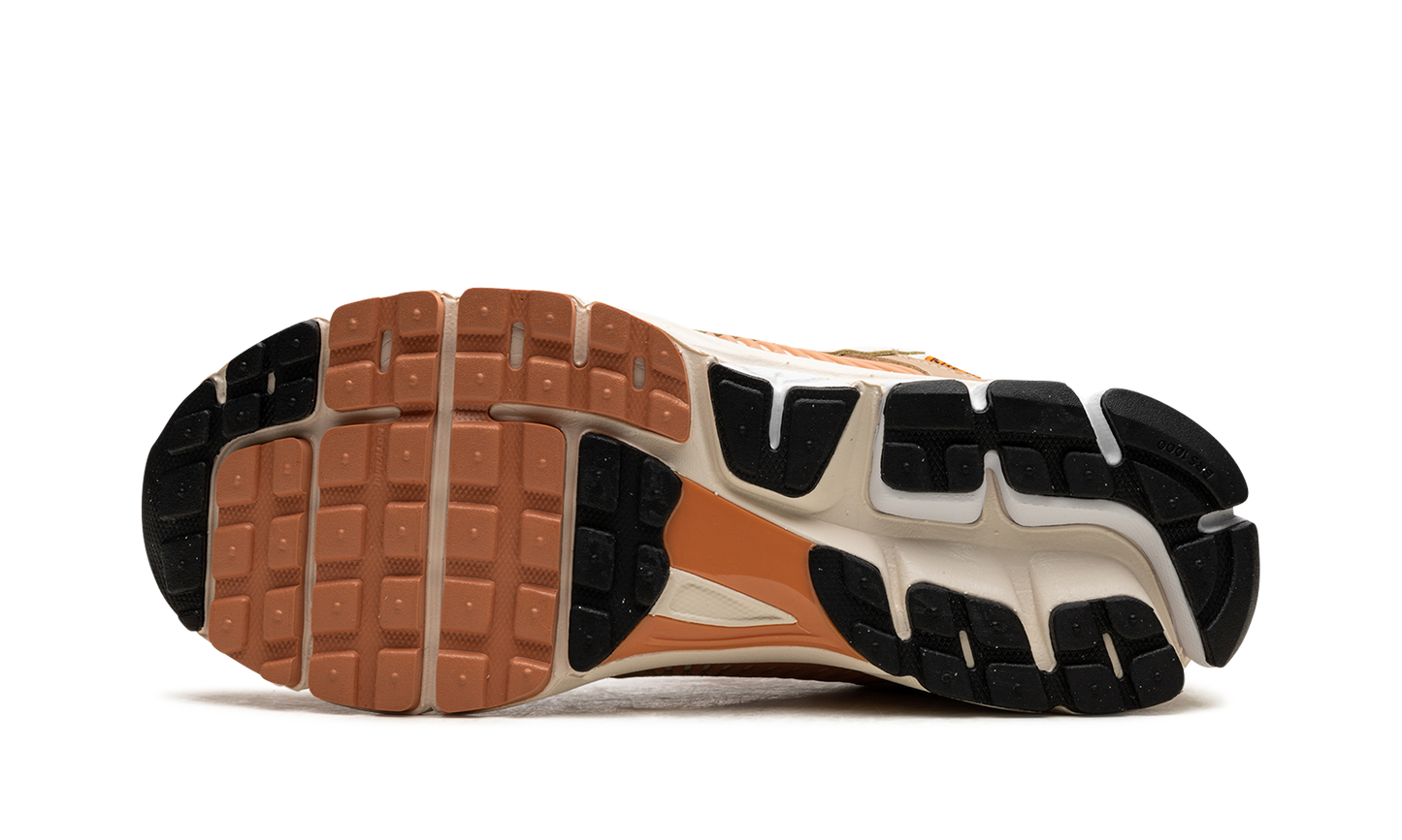 Zoom Vomero 5 "Have a Nike Day"