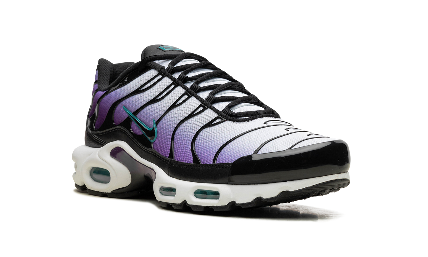 Air Max Plus "Reverse Grape"