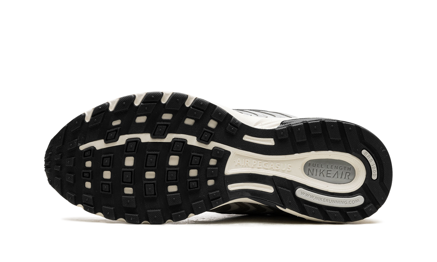 Air Pegasus 2K5 WMNS "Chrome"