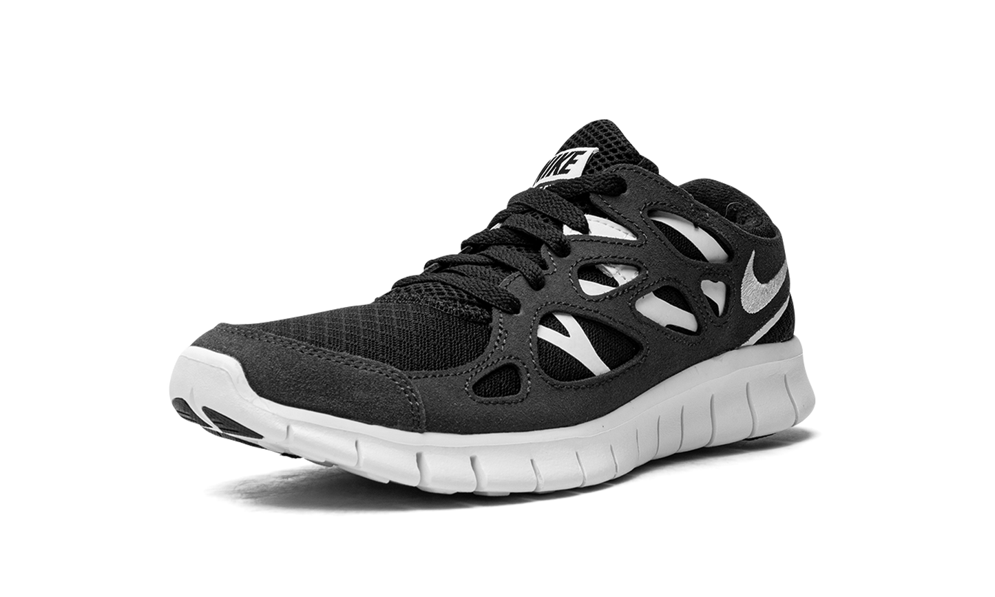 FREE RUN 2 WMNS