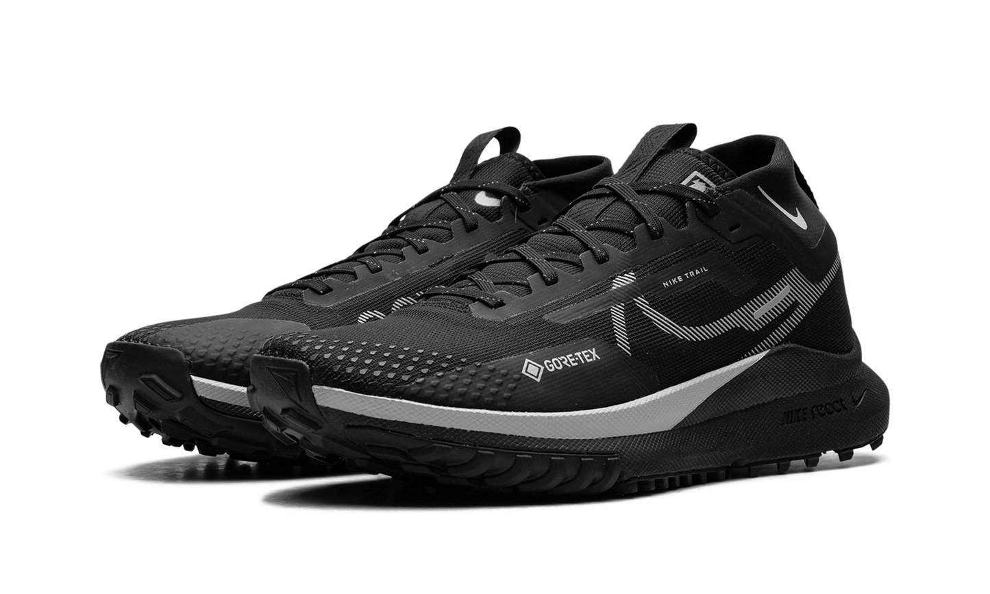 WMNS React Pegasus Trail 4 GTX "Reflect Silver"