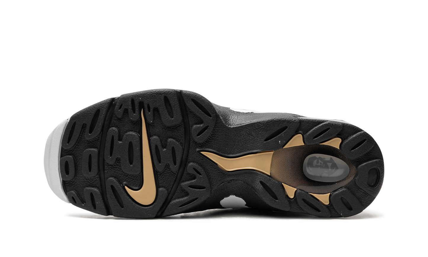 Air DT Max '96 "Colorado Away"