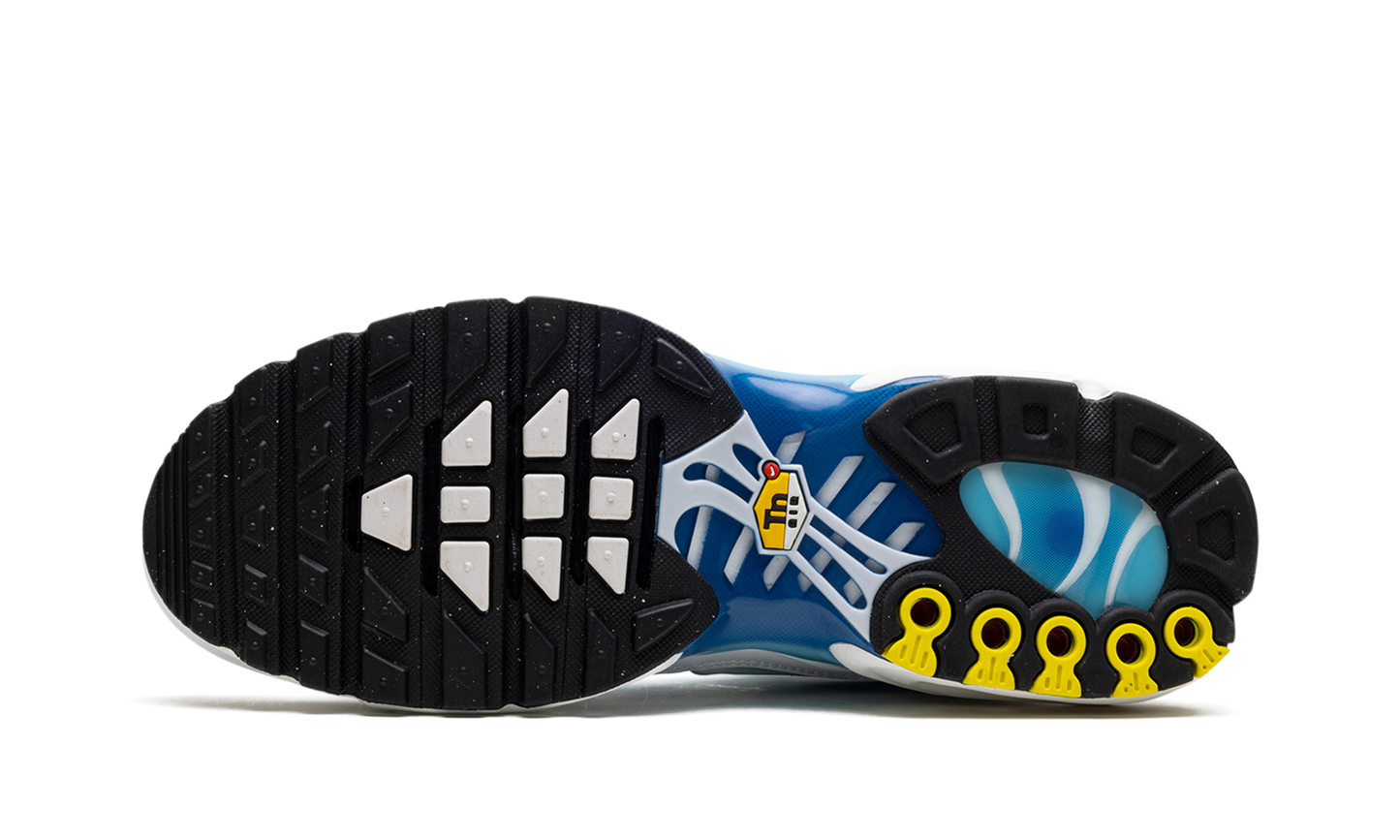 Air Max Plus "Blue Gaze"