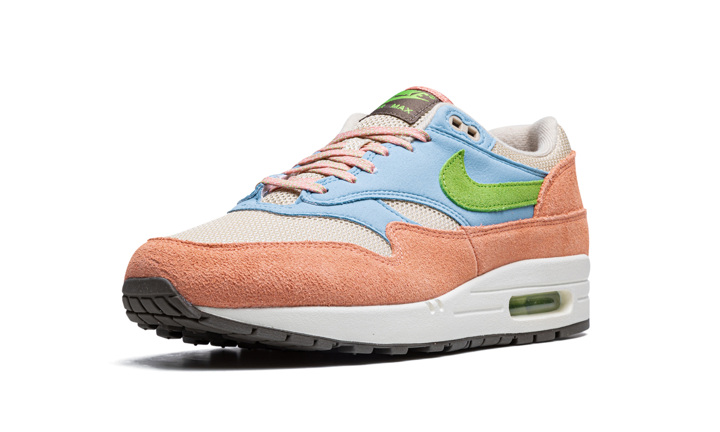Air Max 1 "Light Madder Root"