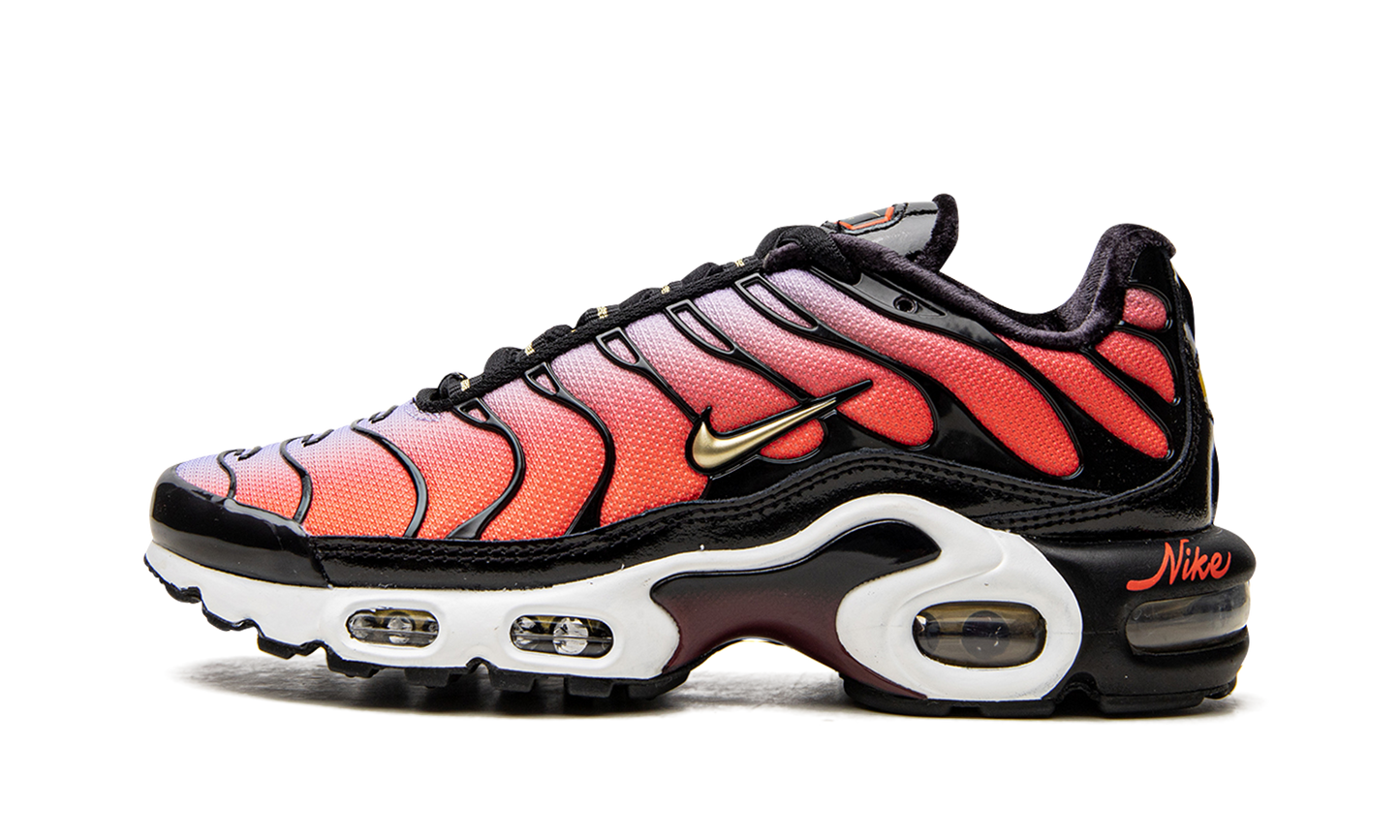 AIR MAX PLUS MNS WMNS "Sisterhood"