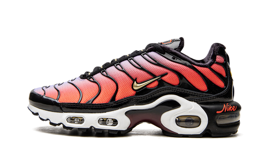 AIR MAX PLUS MNS WMNS "Sisterhood"