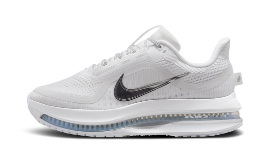 Pegasus Premium WMNS "White Metallic Silver"