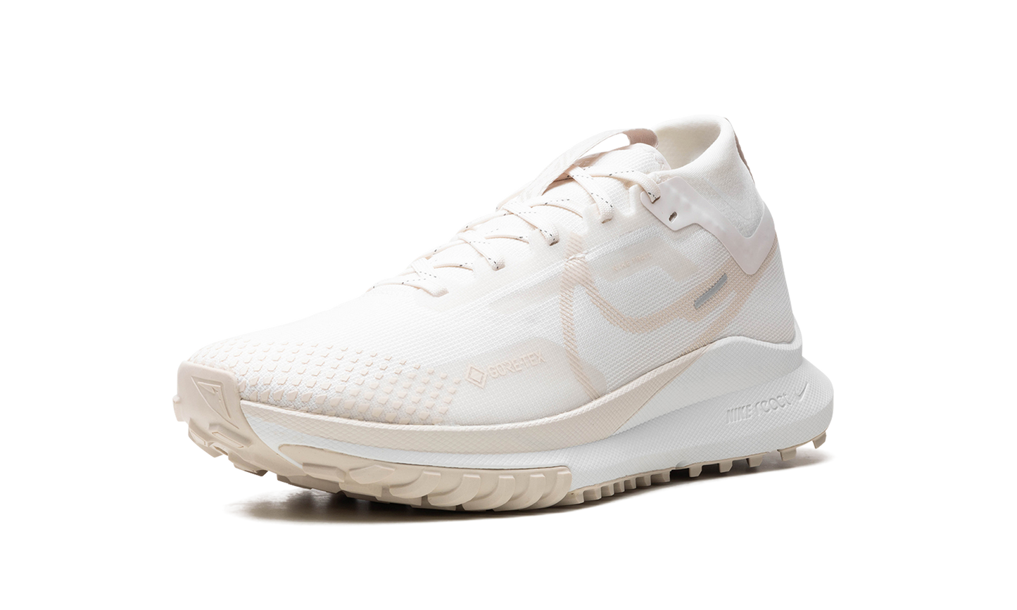 React Pegasus Trail 4 GTX "Phantom"