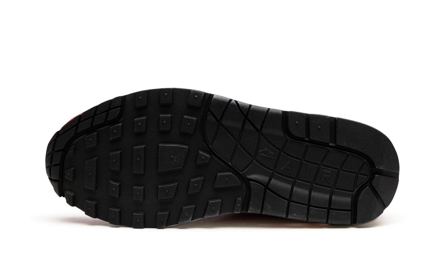 AIR MAX 1 PRINT MNS WMNS "Aloha Pack"