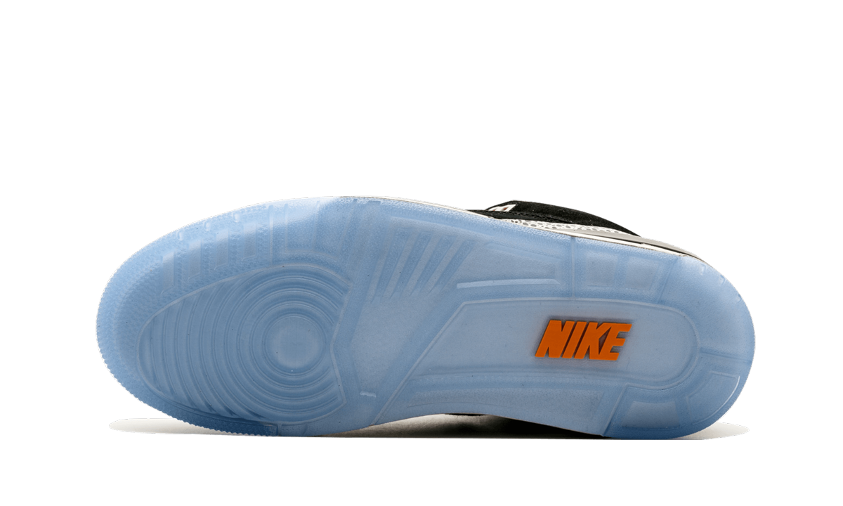 Air Jordan X Max Pack "Atmos Safari / Elephant Pack"