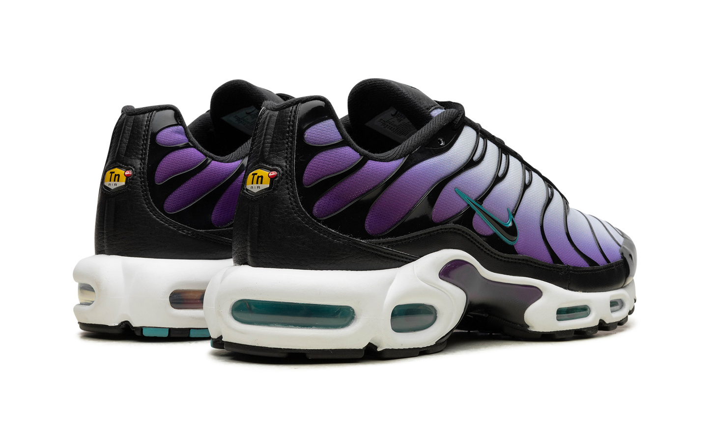 Air Max Plus "Reverse Grape"