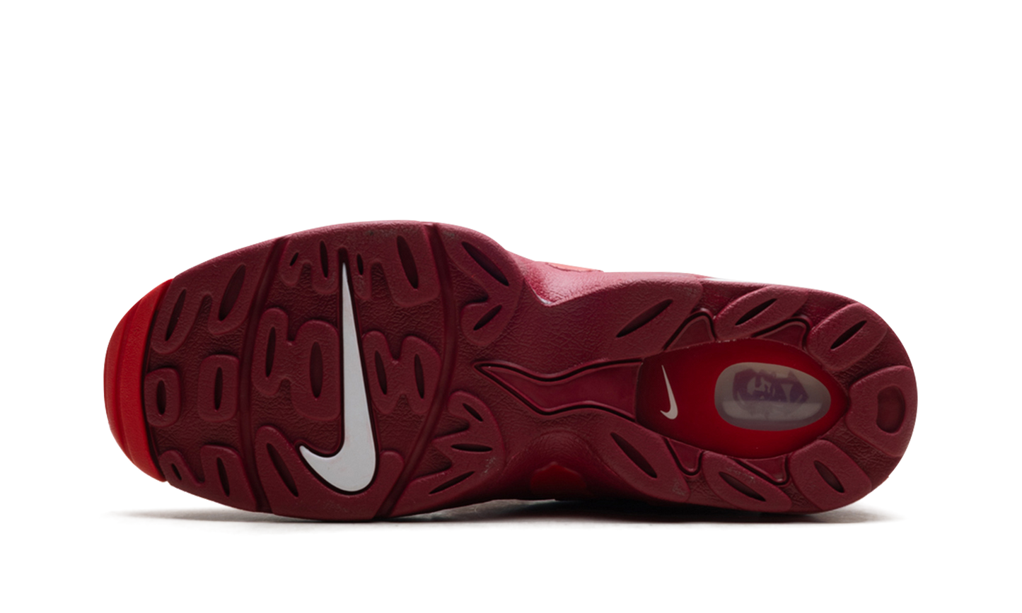 Air DT Max '96 "Love Letter To Connie"