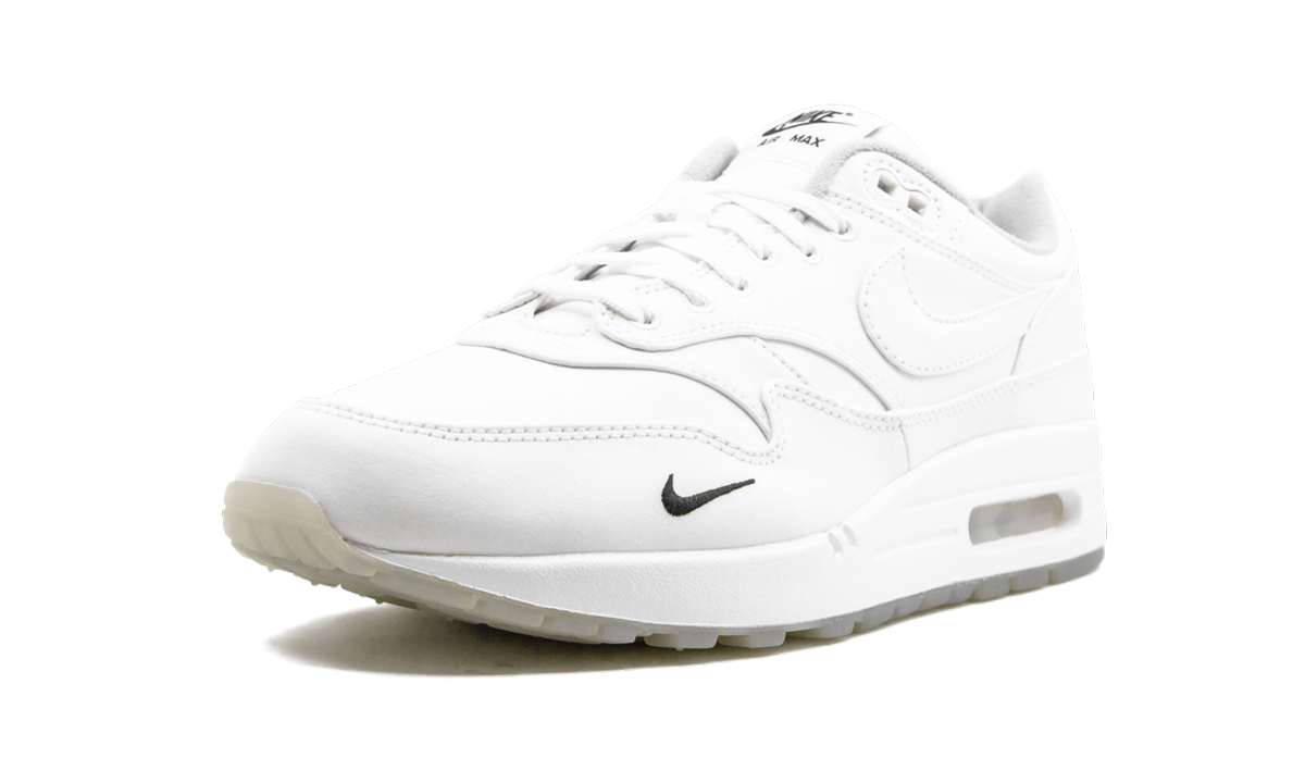Air Max 1 "DSM"