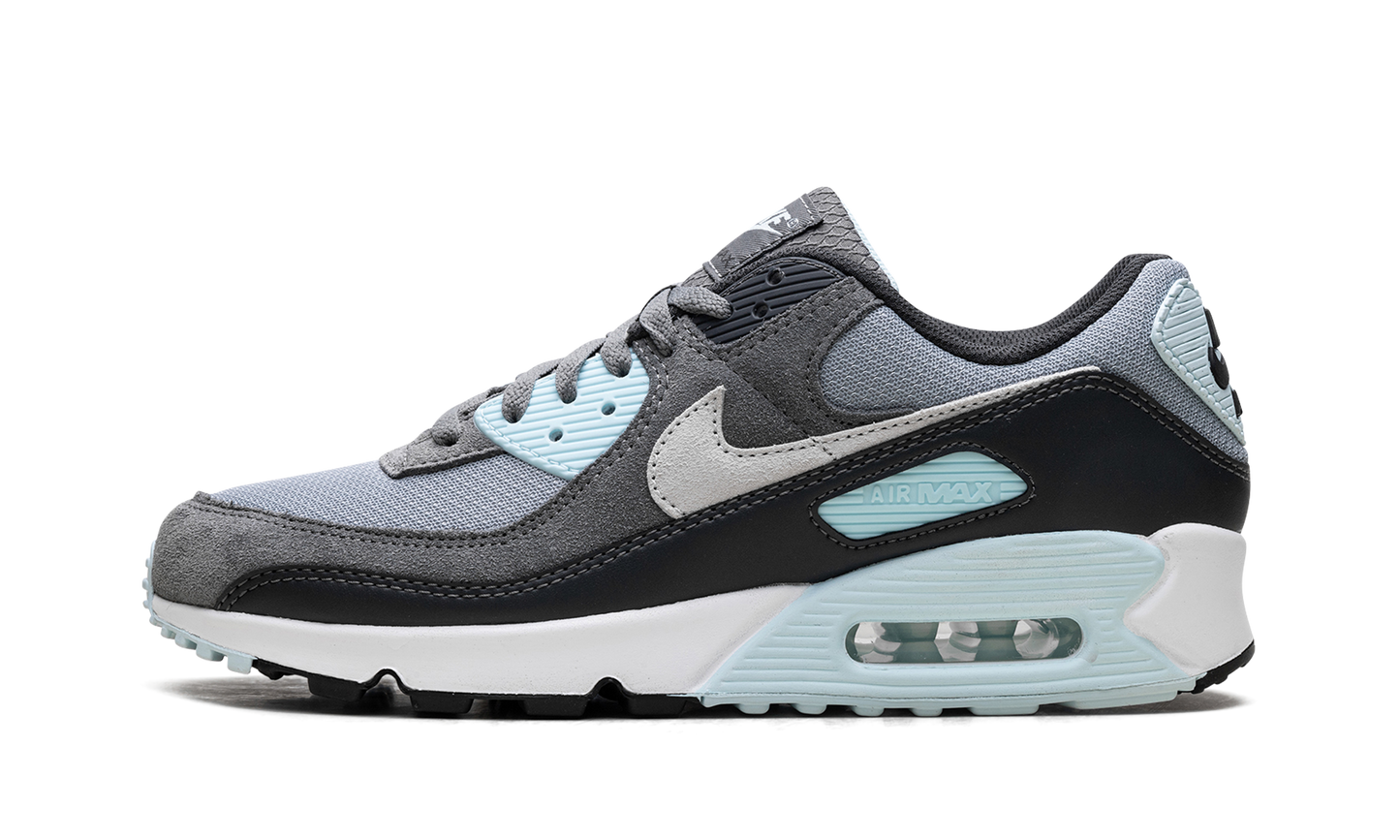 Air Max 90 "Pumice"