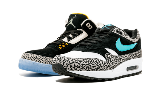 Air Jordan X Max Pack "Atmos Safari / Elephant Pack"