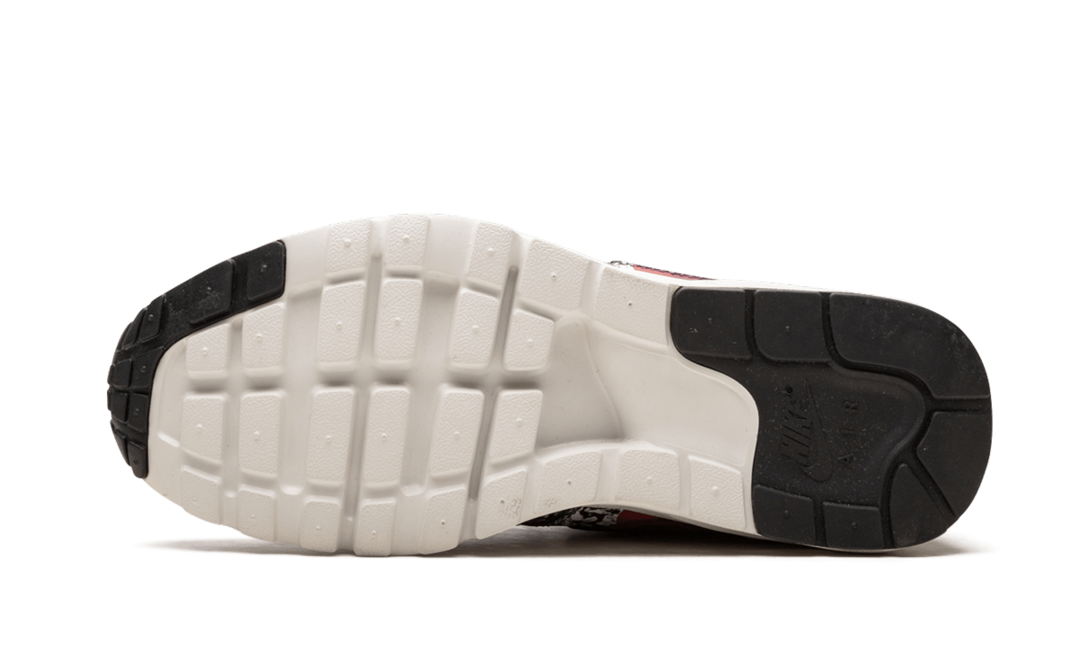 AIR MAX 1 ULTRA LOTC QS WMNS