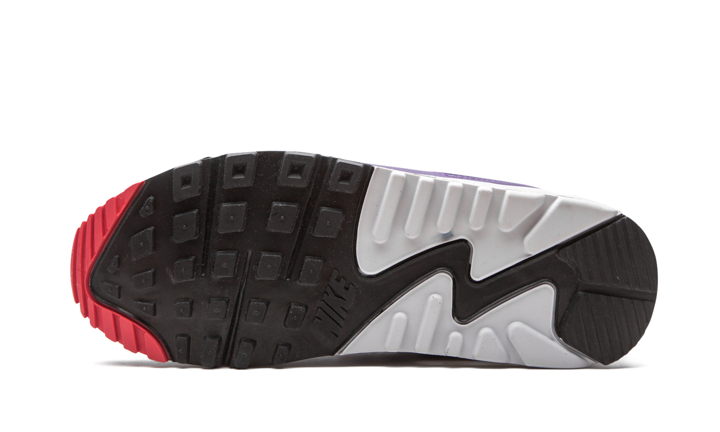 Air Max 90 WMNS "Eggplant"