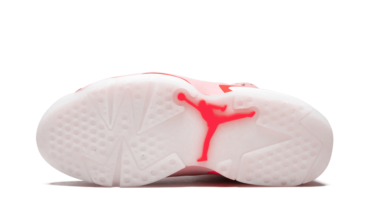 AIR JORDAN 6 RETRO NRG WMNS "Aleali May"