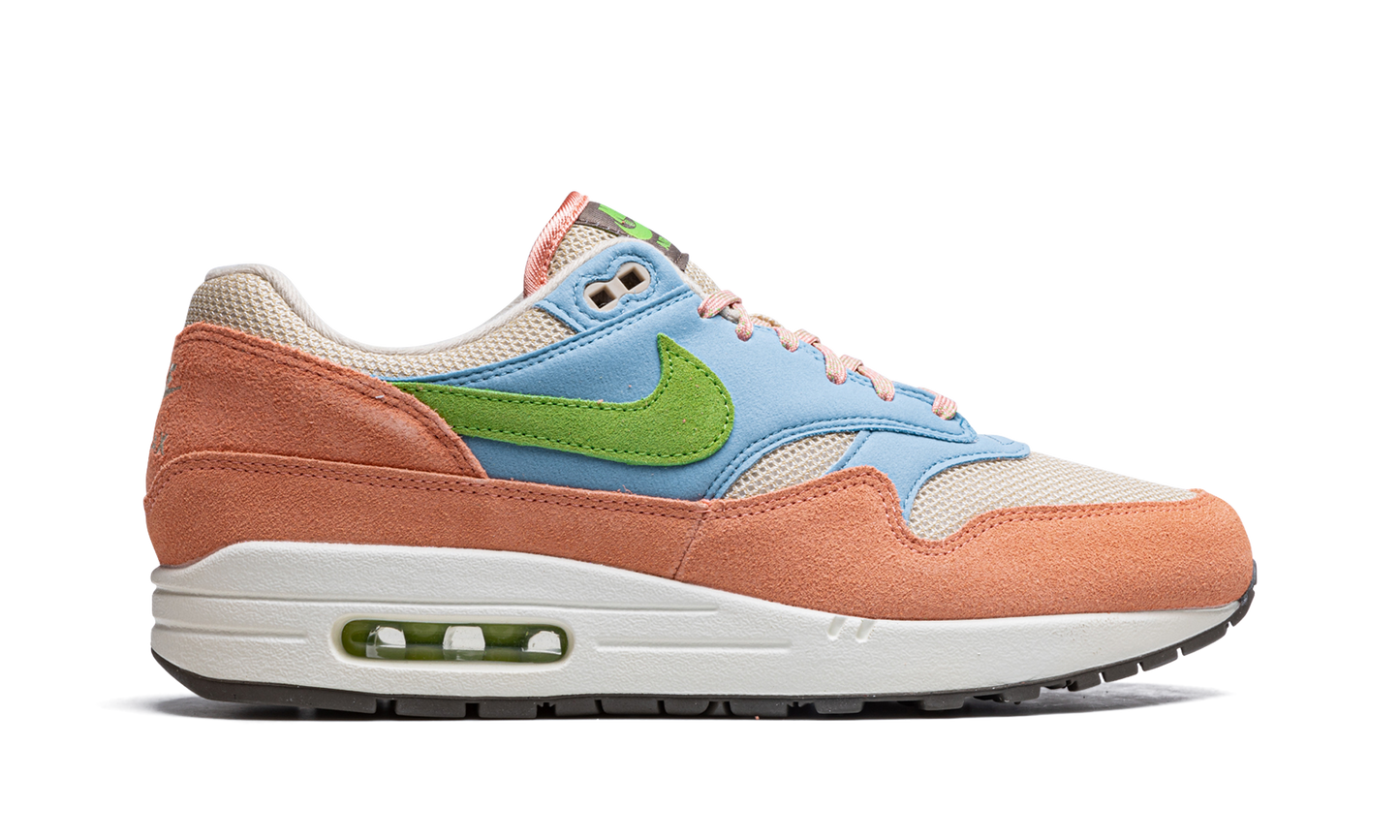 Air Max 1 "Light Madder Root"