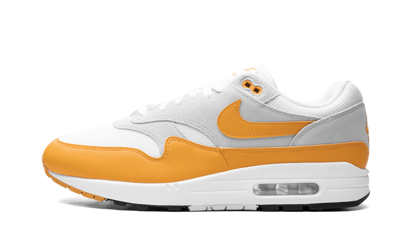 Air Max 1 "Gold"