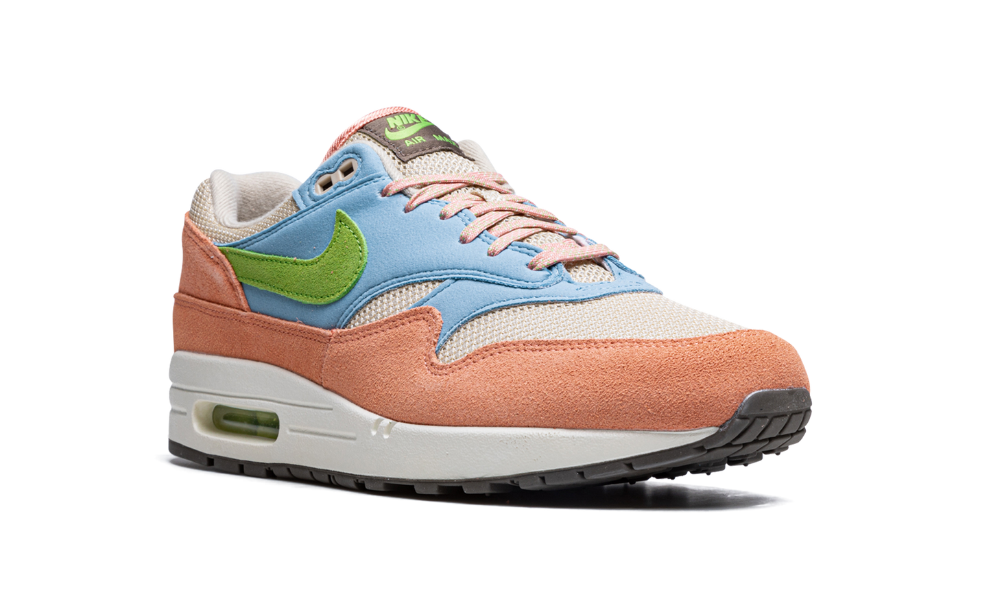Air Max 1 "Light Madder Root"
