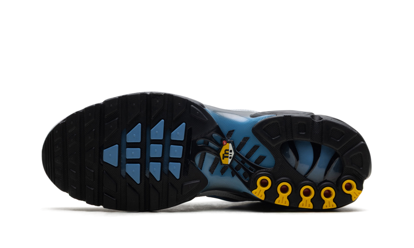 Air Max Plus "Grey University Blue Black"