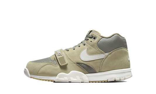 Air Trainer 1 "Neutral Olive"
