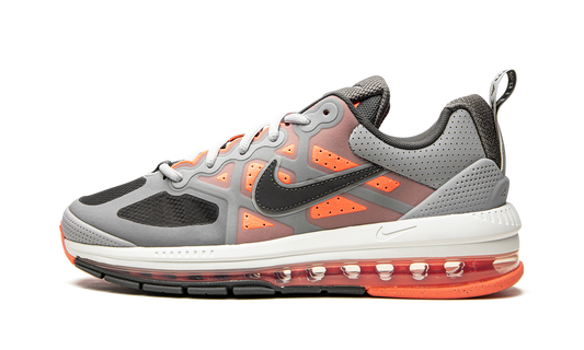 Air Max Genome