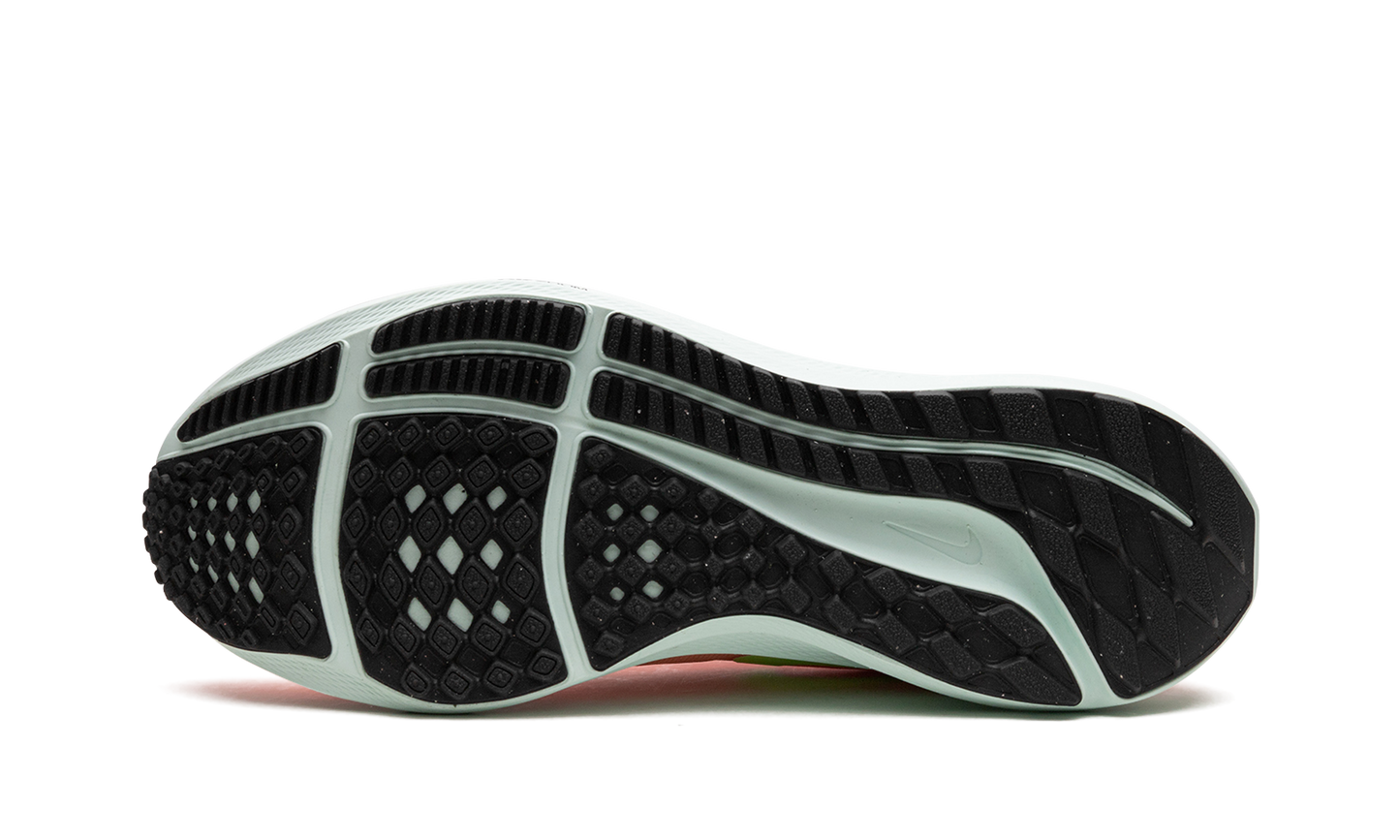 AIR ZOOM PEGASUS 39 MNS WMNS