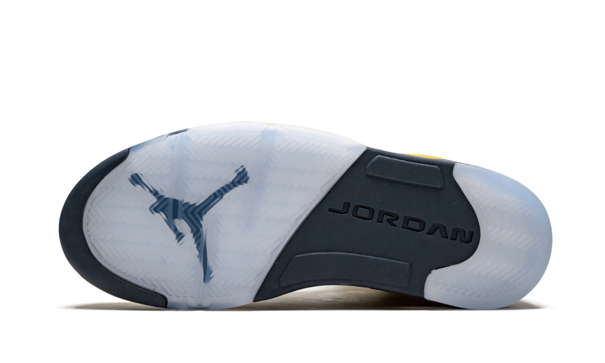 Air Jordan 5 Retro SE "Michigan"