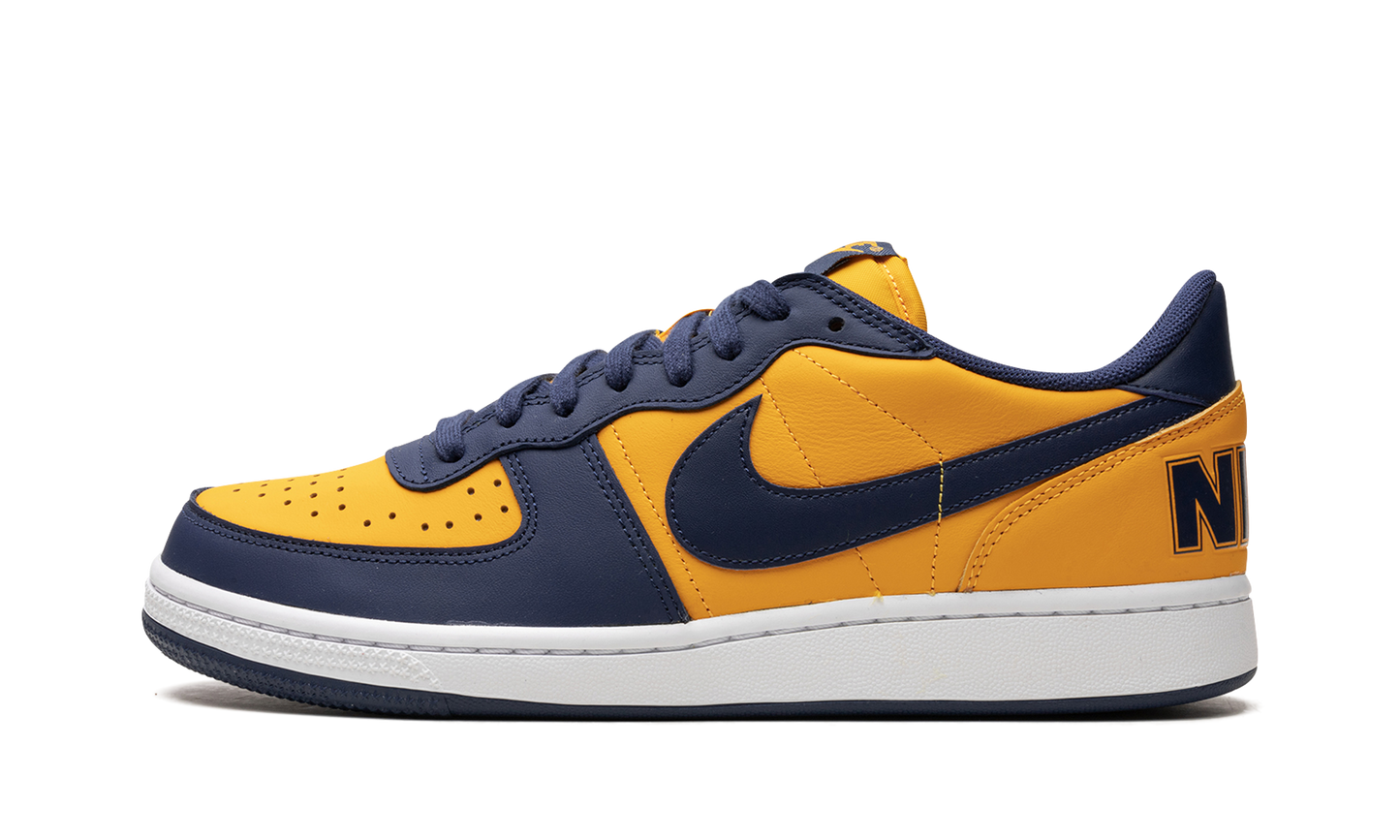 Terminator Low OG "Michigan"