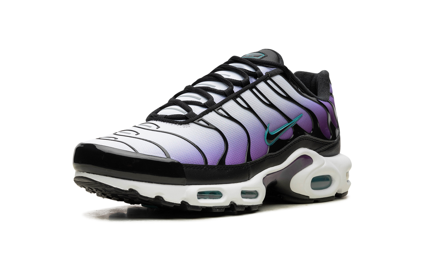 Air Max Plus "Reverse Grape"