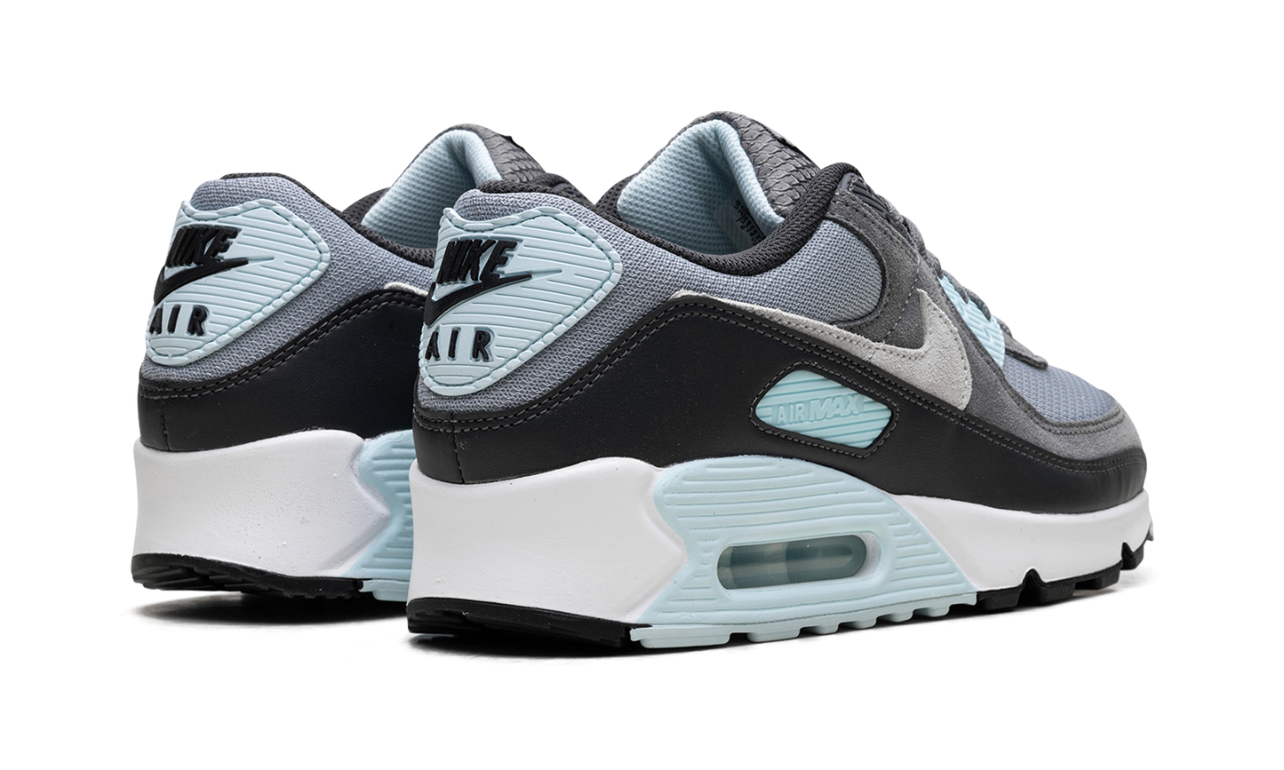 Air Max 90 "Pumice"