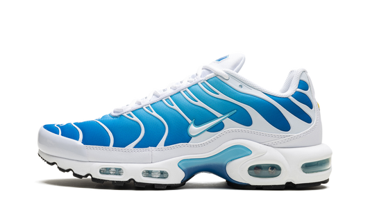 Air Max Plus "Blue Gaze"