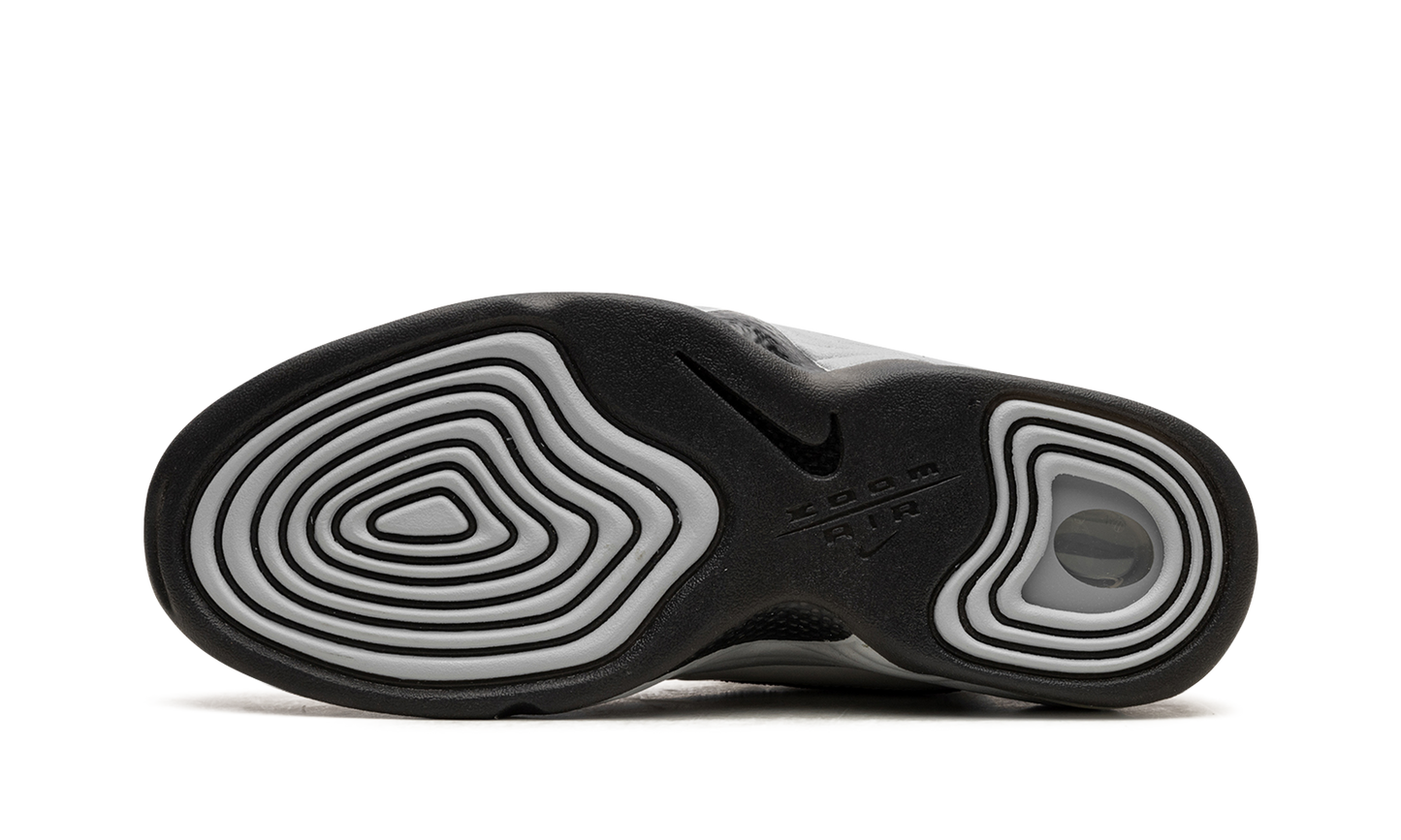 AIR PENNY 2 WMNS "Rosewood"