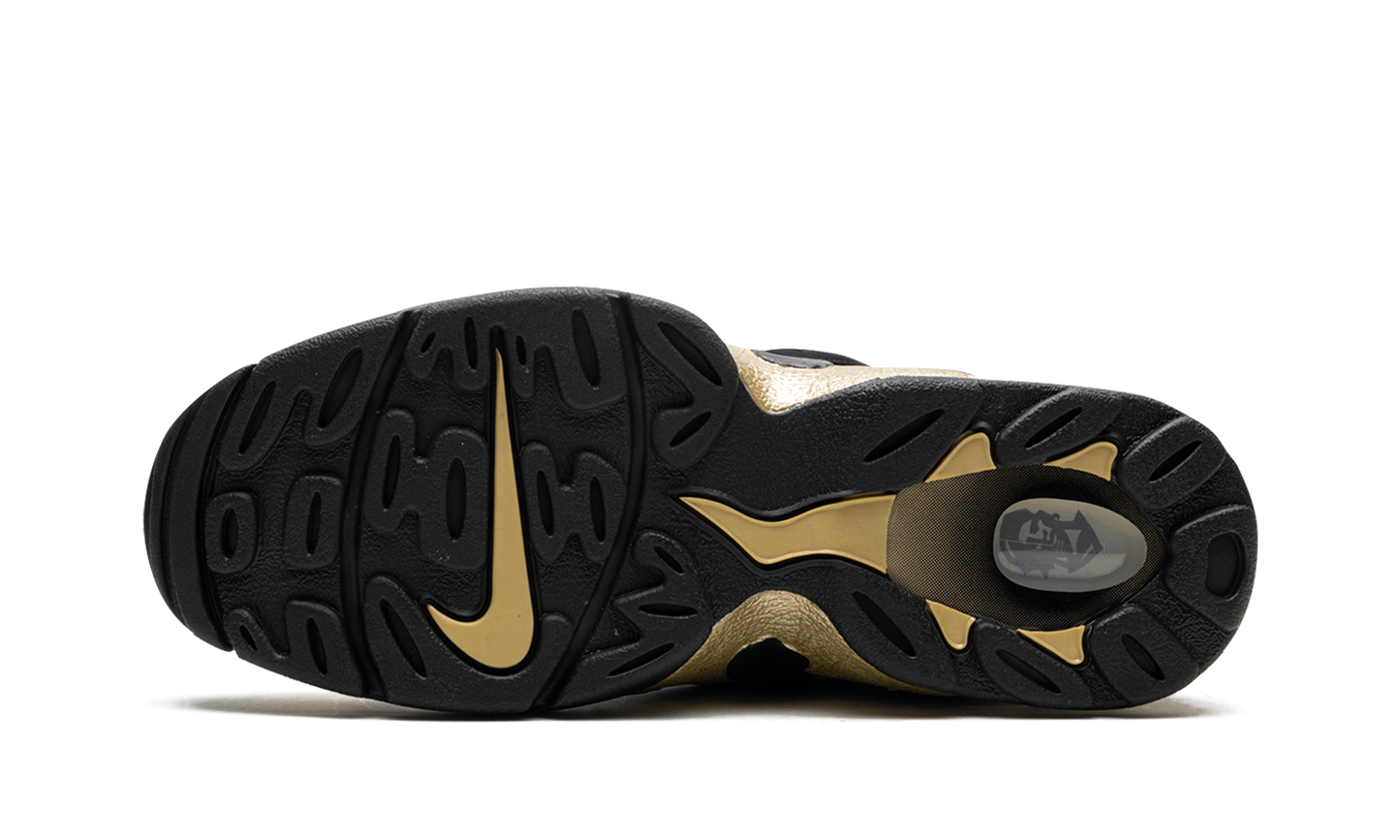 Air DT Max '96 "Colorado Home"